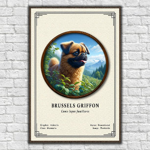 Poster Série de zoologie du Griffon de Bruxelles