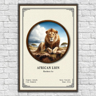 Poster Série de zoologie du lion africain