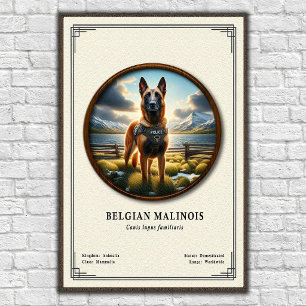 Poster Série de zoologie du Malinois belge