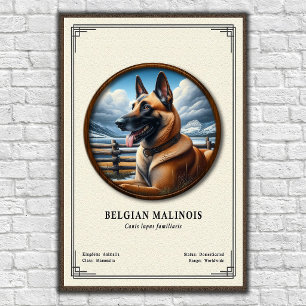Poster Série de zoologie du Malinois belge