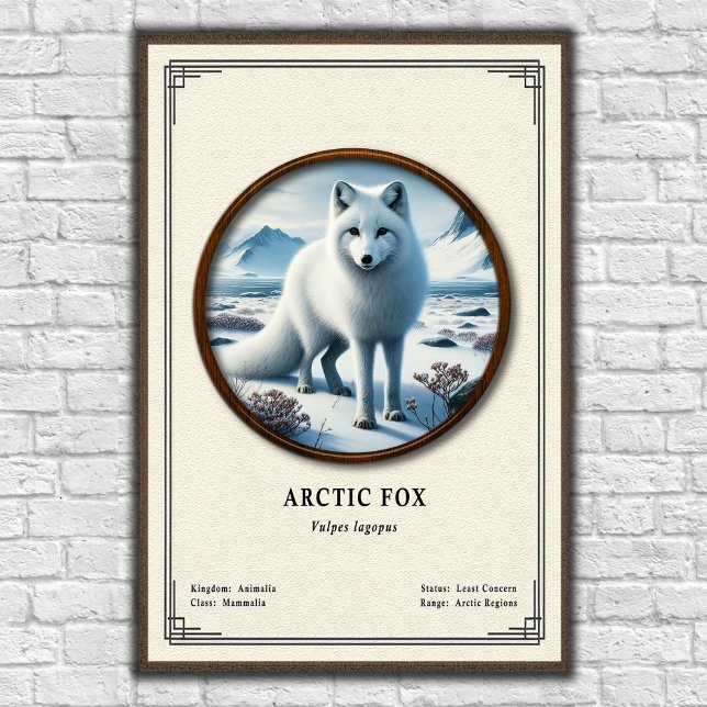 Poster Série de zoologie du renard arctique (Créateur téléchargé)