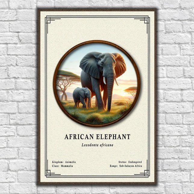 Poster Série de zoologie sur les éléphants d'Afrique (Créateur téléchargé)