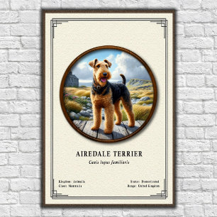 Poster Série de zoologie Terrier Airedale