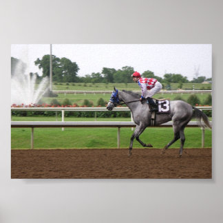 Poster Série LSP (2)