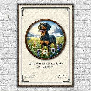 Poster Séries de zoologie du chien de chasse noir et feu