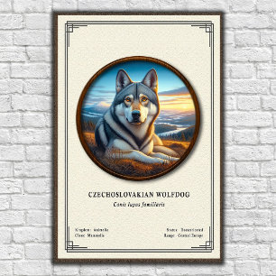 Poster Séries de zoologie du chien-loup tchécoslovaque