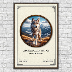 Poster Séries de zoologie du chien-loup tchécoslovaque