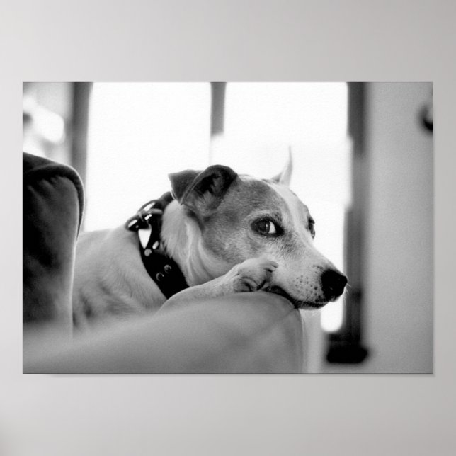 Poster Sérieux Oeil Côté. (Devant)