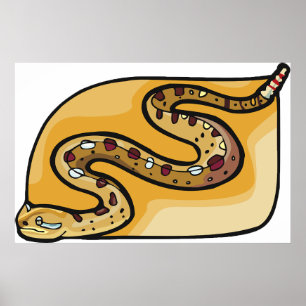 Poster Serpent à Sonnette Replié sur Lui-Même Désert du S