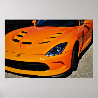 Poster Serpent Bitten