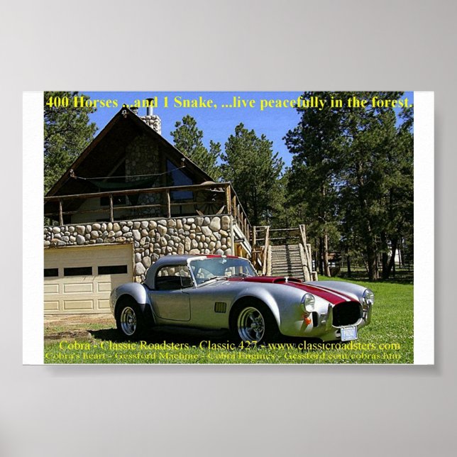 Poster SerpentNGrass (Devant)