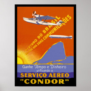 Poster Service aérien de Brazillian de ~ de condor