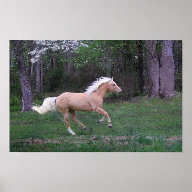 Poster Service gratuit (Devant)