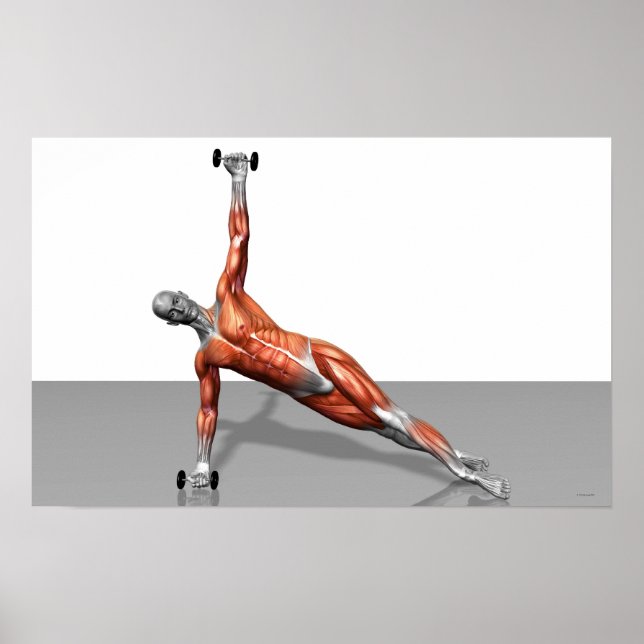 Poster Setanta Push Up 2 (Devant)