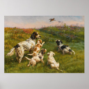 Poster Setter and Pups par Edmund Henry Osthaus