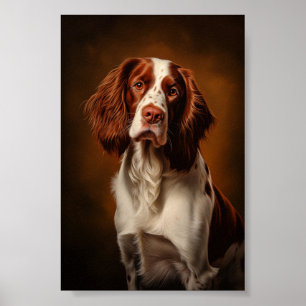 Poster Setter rouge et blanc irlandais