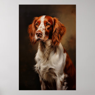 Poster Setter rouge et blanc irlandais