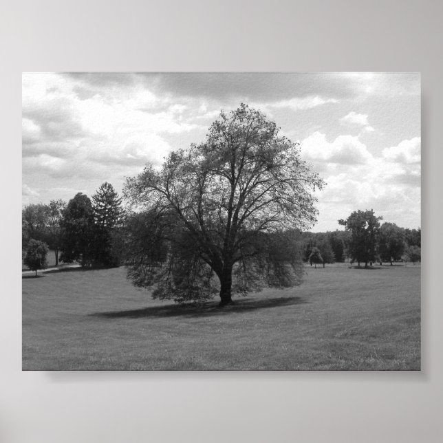 Poster Seul (Devant)