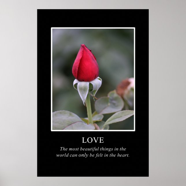 Poster Seul le coeur connaît la vraie beauté (Devant)