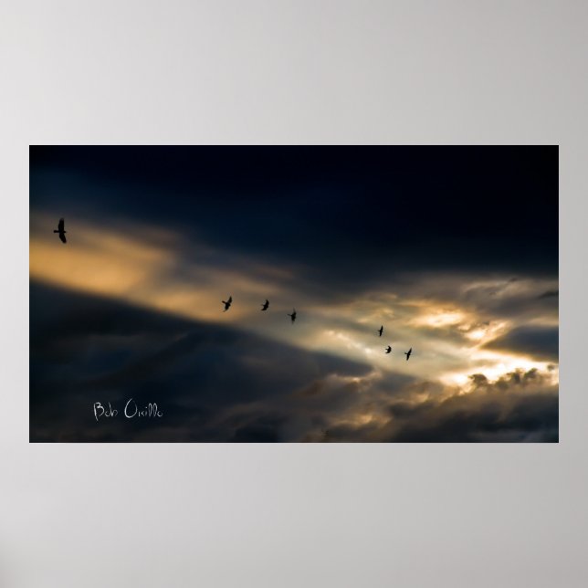 Poster Seven Bird Vision, Bob Orsillo (Devant)