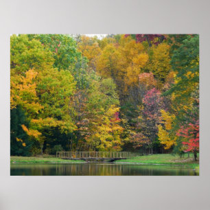 Poster Seven Springs Fall Bridge II Autumn Paysage