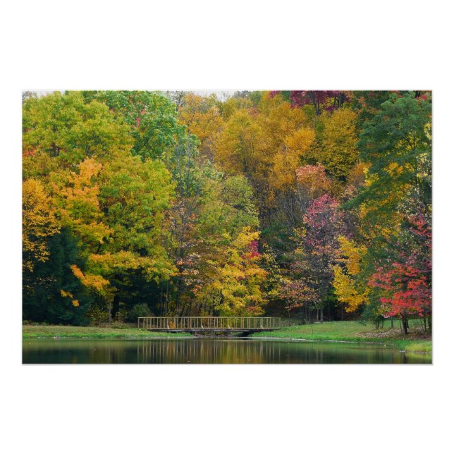 Poster Seven Springs Fall Bridge II Autumn Paysage (Devant)