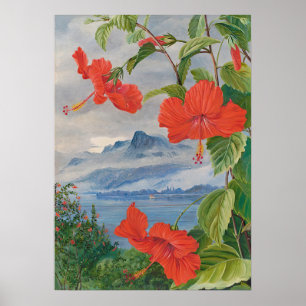 Poster Seychelles par Marianne North - Paysage exotique