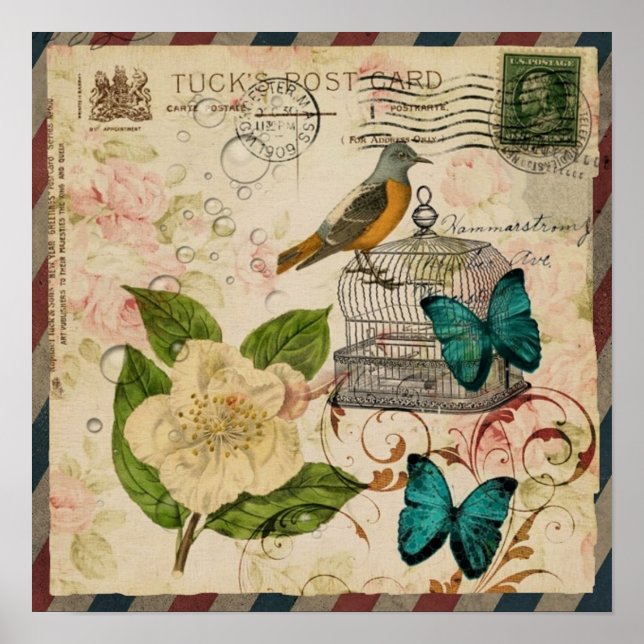 Poster shabby elegance floral bird franical botanical (Devant)