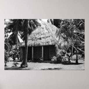 Poster Shack sur la plage - Hawaii Island