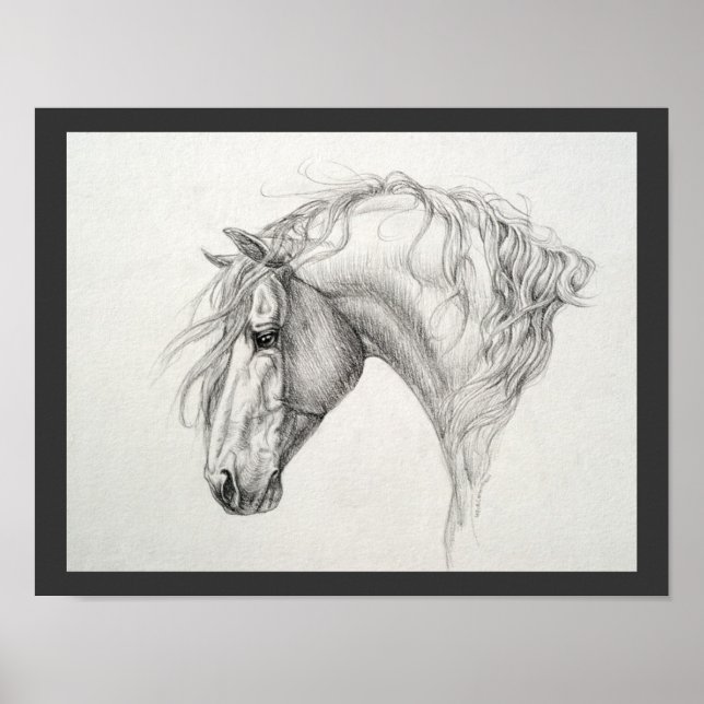 Poster Shadowfax (Devant)