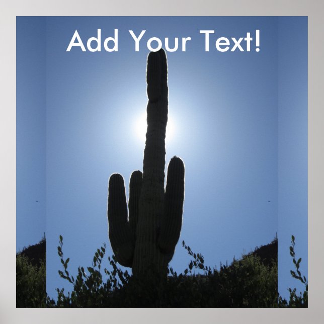 Poster Shady Saguaro (Devant)