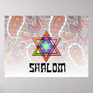 Poster Shalom Pink Paisley
