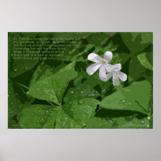 Poster shamrock avec texte -36x24 -ou plus petit