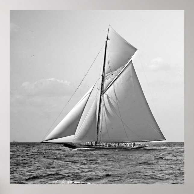 Poster Shamrock II à la marque extérieure 1901 BW (Devant)