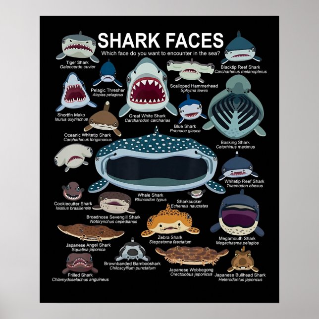 Poster Shark faces Which Face Do You Want To Encounter (Devant)