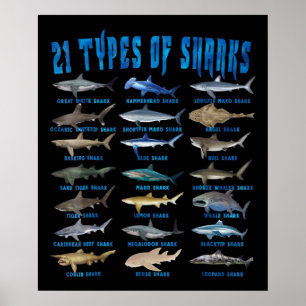 Poster Shark Lovers 21 Types of Sharks Ocean Animal