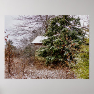 Poster Shed abandonné