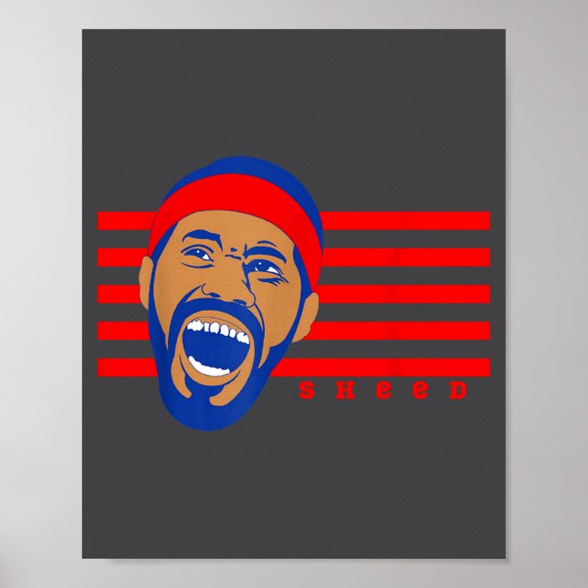 Poster Sheed, Basketball Legends, Rasheed, Don't Lie, Wal (Devant)