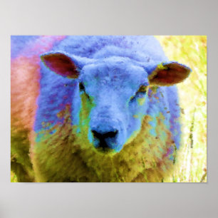 POSTER SHEEP