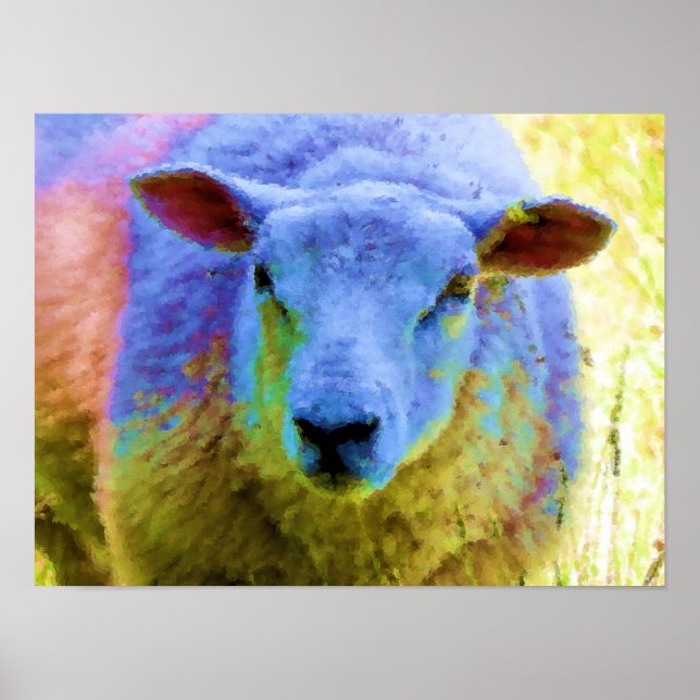 POSTER SHEEP (Devant)