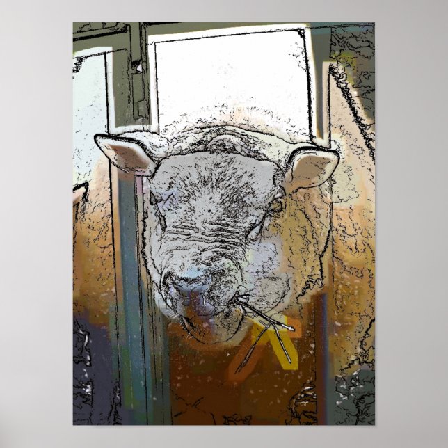 POSTER SHEEP (Devant)