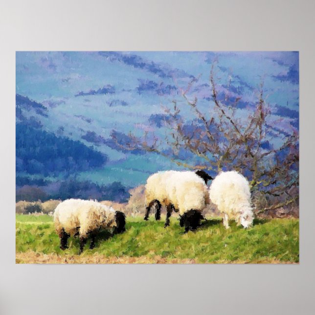 POSTER SHEEP (Devant)