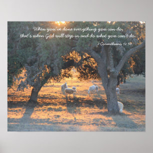 Poster Sheep in the Texas Sunset,, Quote from Corinthians
