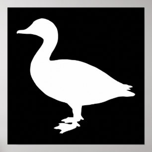 Poster Sheldrake Duck