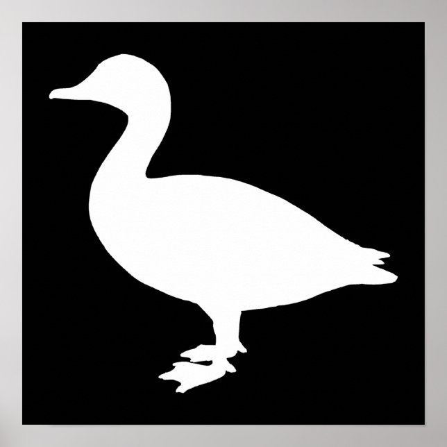 Poster Sheldrake Duck (Devant)