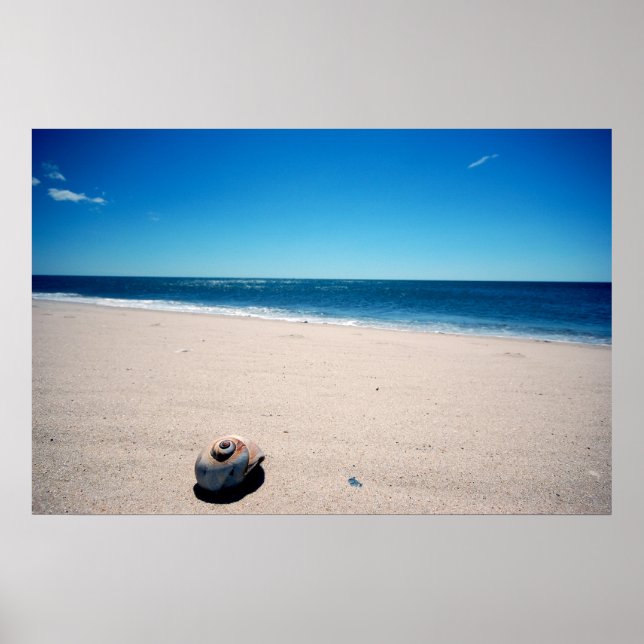 Poster Shell maritime (Devant)