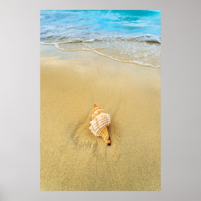 Poster Shell Sur La Plage | Jamaïque (Devant)