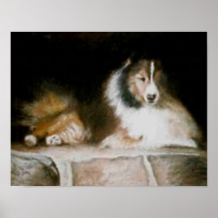 Poster Sheltie