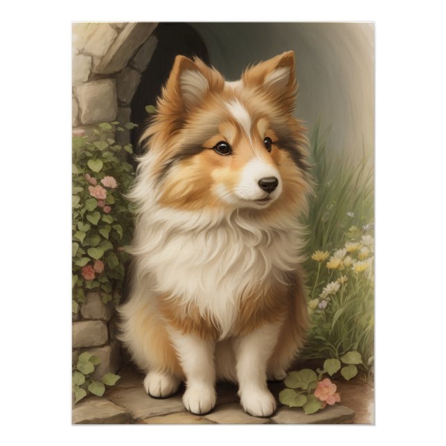 Poster Shetland Sheepdog (Devant)