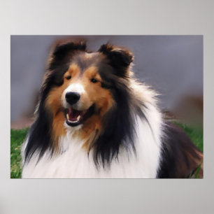 Poster Shetland Sheepdog Shelter Cadeaux d'art